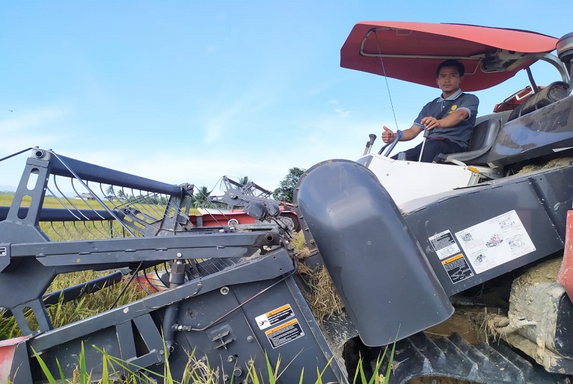 Salah satu petani milenial saat melakukan panen padi (ilustrasi) 