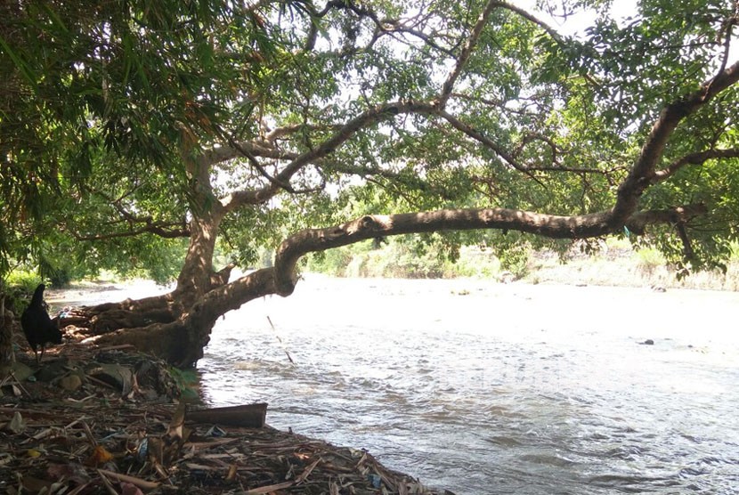 Aliran sungai Ciliwung, yang melintas di Kampung Bebek, Kelurahan Kedung Halang, Kecamatan Tanah Sareal, Kota Bogor. 