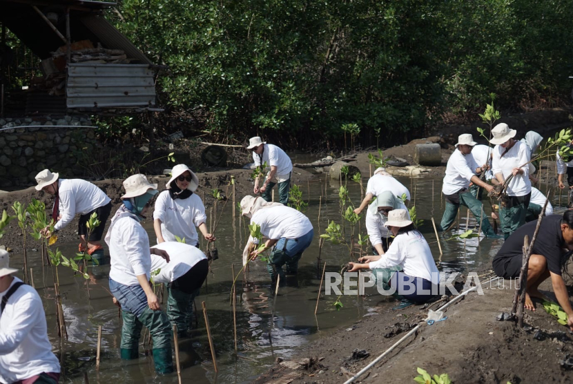 Amorepacific melakukan penanaman mangrove di NTB.