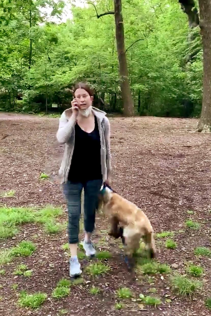 Amy Cooper, perempuan kulit putih yang melaporkan laki-laki kulit hitam saat diminta mengikat anjingnya di Central Park, AS