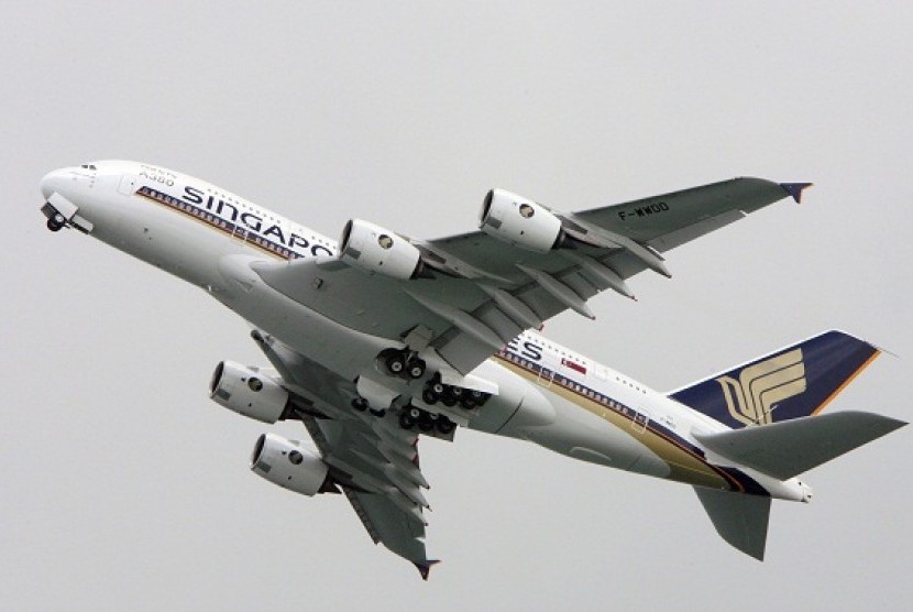 An Airbus A380 aircraft in Singapore Airlines livery flies through the sky. (file photo) 