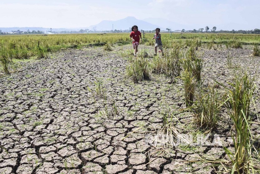 Dinas Pertanian Banyumas menyiapkan pompa air untuk mengantisipasi lahan sawah mengalami kekeringan, (ilustrasi).