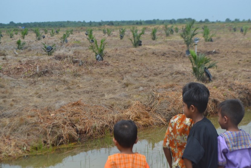 Anak-anak melihat lahan yang baru pertama kali ditanam sawit di Desa Air Kumbang Bakti, Kecamatan Air Kumbang, Kabupaten Banyuasin, Sumatra Selatan, Senin (15/10).