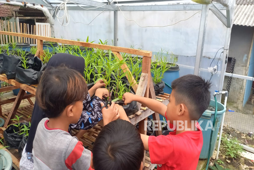 Anak-anak merawat tanaman di lahan Akuaponik Budikdamber yang diinisiasi FFUI dan TIKA di Pasar Minggu, Jakarta Selatan. 