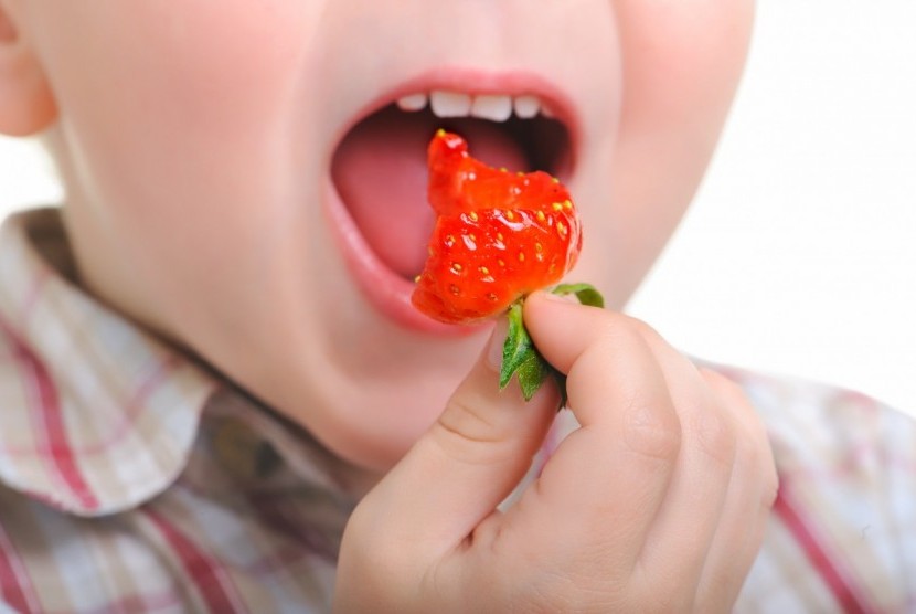Anak makan buah.