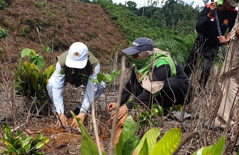 Anak perusahaan Holding Perkebunan Nusantara di Riau, PT Perkebunan Nusantara V, melakukan penghijauan kembali hutan lindung Bukit Suligi yang kini mayoritas areal tutupannya telah berubah fungsi.
