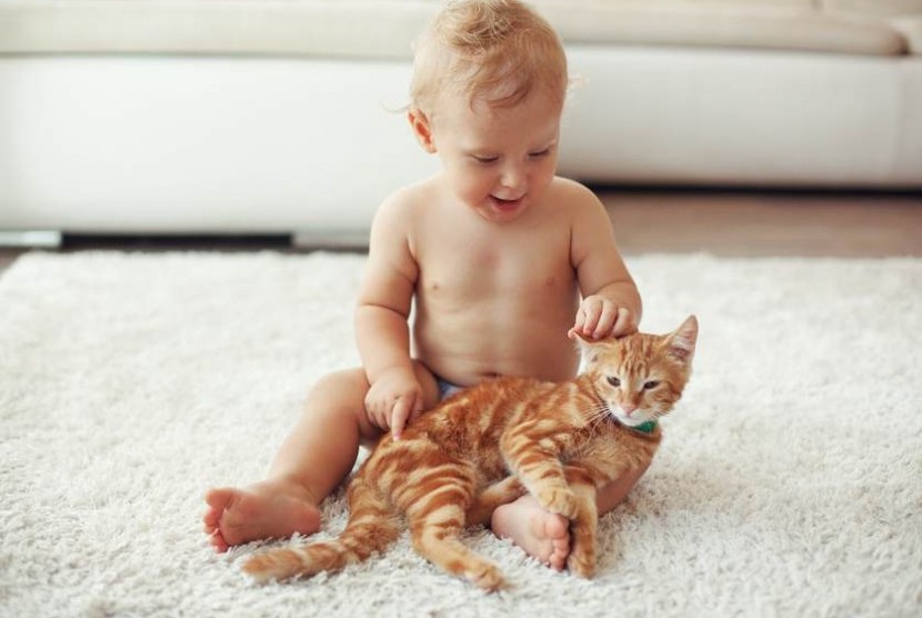 Anal bayi bermain dengan kucing