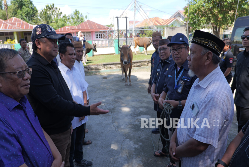Anggota DPR RI, Rachmat Gobel, membagikan 50 sapi kurban ke seluruh Provinsi Gorontalo pada Idul Adha 1446 H, Kamis (5/6/2025).