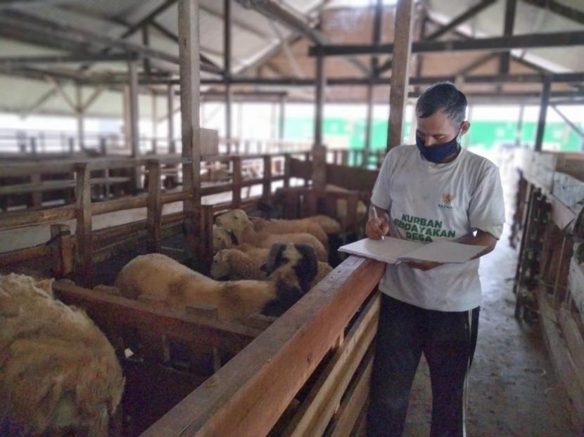 Anggota kelompok ternak Balai Ternak Baznas Bogor sedang memeriksa dan mencatat hewan ternaknya di Desa Cimande Hilir, Kecamatan Caringin, Kabupaten Bogor. 