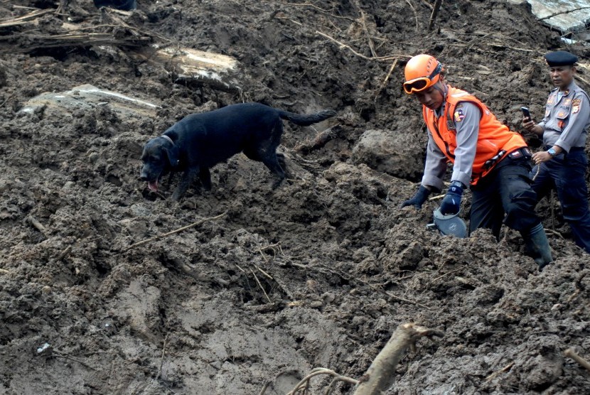 Anggota Kepolisian bersama anjing pelacak mencari korban yang tertimbun tanah longsordi Desa Pattalikang, Kecamatan Manuju, Kabupaten Gowa, Sulawesi Selatan, Sabtu (26/1/2019). 