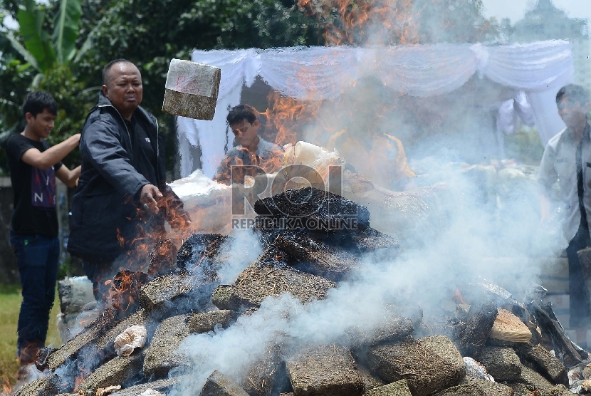 Angka pengguna narkoba di DKI Jakata mencapai 260 ribu p engguna. Foto, anggota kepolisian melemparkan barang bukti narokoba jenis ganja ke api (ilustrasi)
