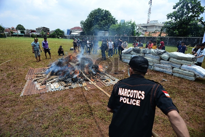 Anggota kepolisian memusnahkan barang bukti narkoba jenis ganja di lapangan Polsek Palmerah, Jakarta Barat, Rabu (11/3). (Republika/Raisan Al Farisi)