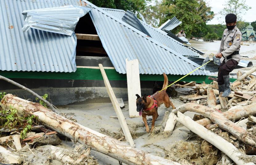 Anggota Kepolisian mencari korban dengan menggunakan anjing pelacak di Desa Bone Lama, Masamba, Kabupaten Luwu Utara, Sulawesi Selatan.