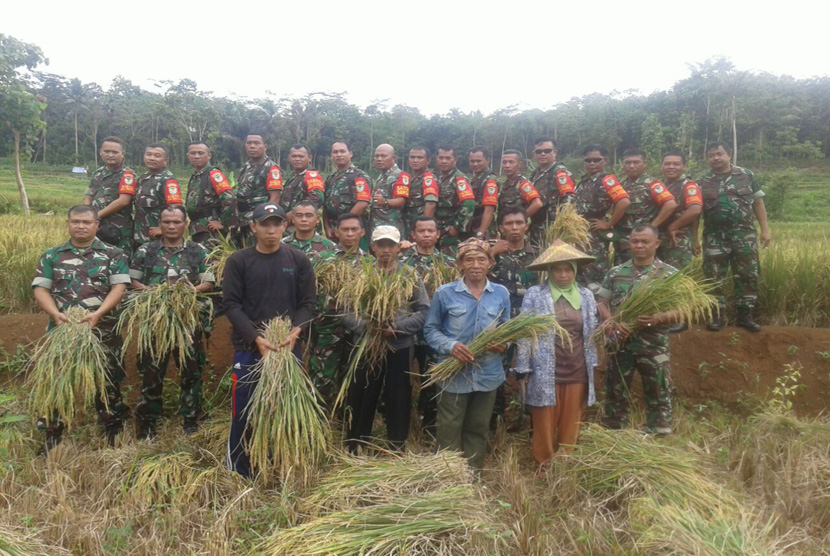 Anggota Koramil 1301/Ciamis  melaksanakan kegiatan pendampingan panen perdana hasil cetak sawah dengan lahan seluas  4,5 ha dengan hasil rata-rata  8 Ton di dusun Majaprana desa Pamalayan kecamatan Cijeungjing kabupaten  Ciamis. 