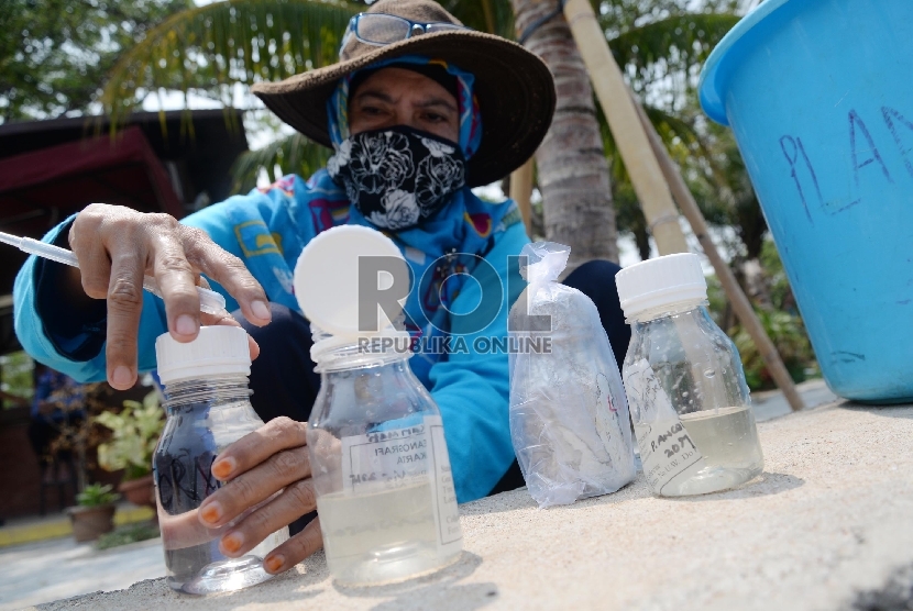  Anggota Lembaga Ilmu Pengetahuan Indonesia (LIPI) sedang mengambil sampel untuk meneliti kematian puluhan ribu ikan mati di sepanjang Pantai Ancol, Jakarta Utara, Selasa (1/12).