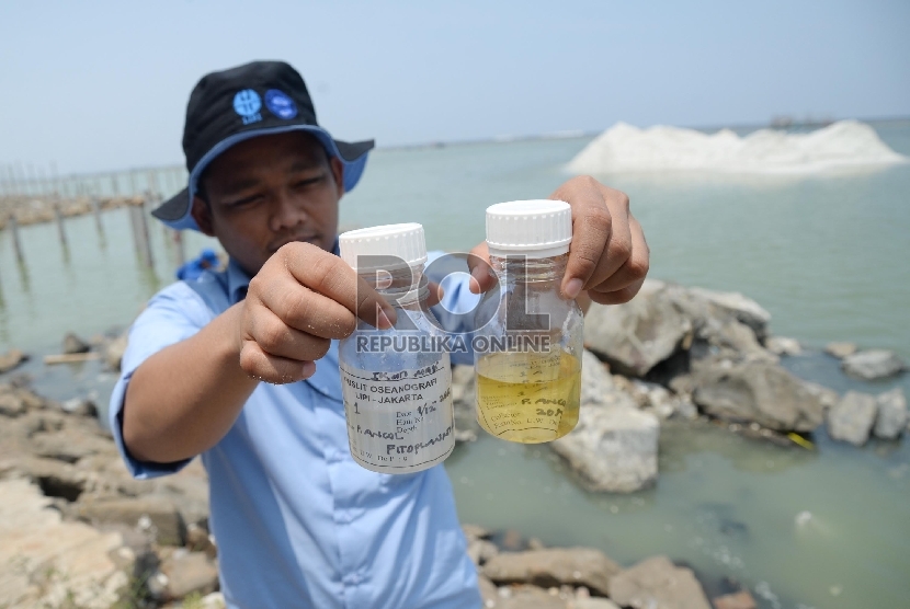 Anggota Lembaga Ilmu Pengetahuan Indonesia (LIPI) sedang mengambil sampel untuk meneliti kematian puluhan ribu ikan mati di sepanjang Pantai Ancol, Jakarta Utara, Selasa (1/12).  (Republika/Yasin Habibi)