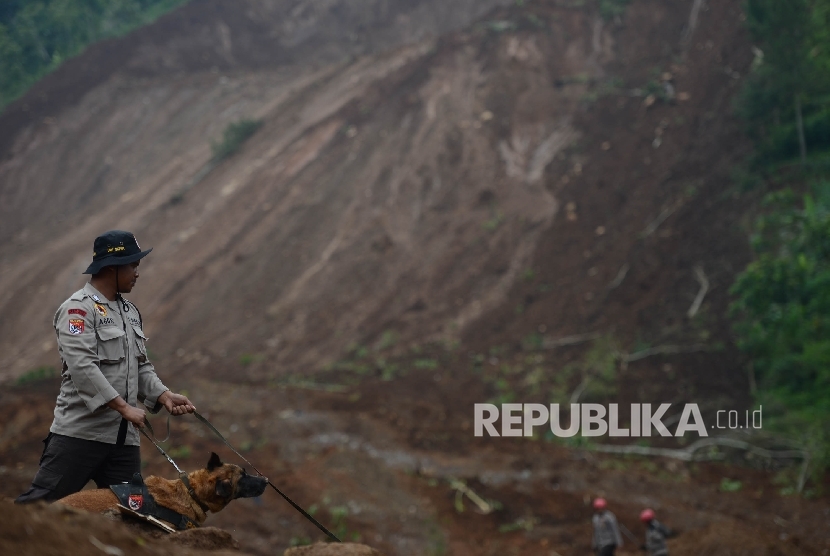 Anggota Polisi Satwa unit K-9 dari Mabes Polri membantu proses pencarian korban longsor yang terjadi di Desa Banaran, Kecamatan Pulung, Kabupaten Ponorogo, Jawa Timur, Kamis (6/4).