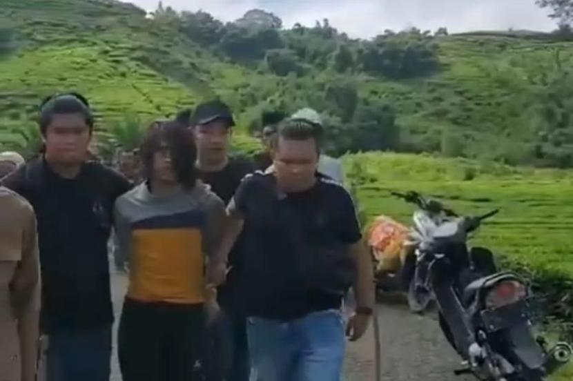 Anggota Polres Kerinci dan Polsek Kayu Aro saat menangkap pemuda terduga pelaku pembunuhan ibu kandungnya di kawasan perkebunan teh Desa Sungai Asam, Kayu Aro Barat, Senin (27/5/2024).