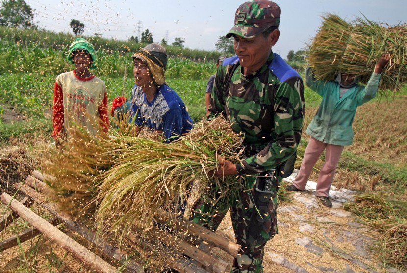 Anggota TNI dari Koramil Ngasem berbaur dengan buruh tani memanen padi di area persawahan Desa Paron, Kediri, Jawa Timur, Jumat (31/3).