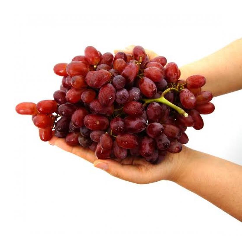 Konsumsi buah anggur turunkan risiko penyakit hati berlemak dan perpanjang usia.