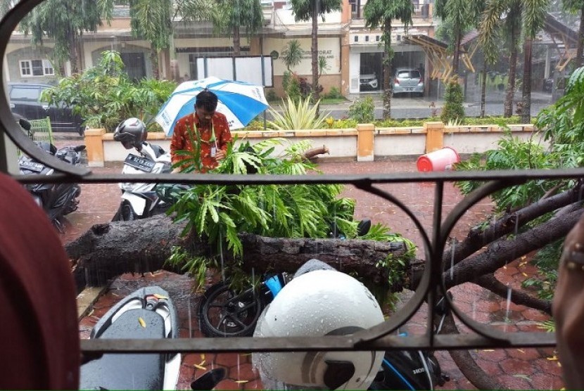 Angin kencang dengan disertai curah hujan lebat menyebabkan sejumlah titik di Kota Malang tergenang air dan beberapa pohon tumbang pada Jumat (5/1). 