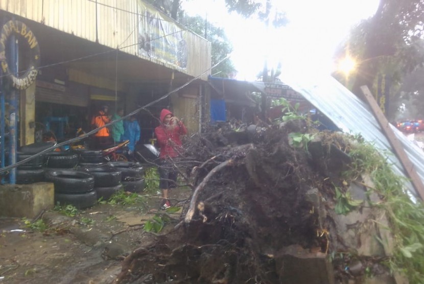 Angin puting beliung merobohkan sejumlah pohon dan atap rumah warga di sejumlah wilayah di Kota Bogor, Kamis (6/12) sore. 