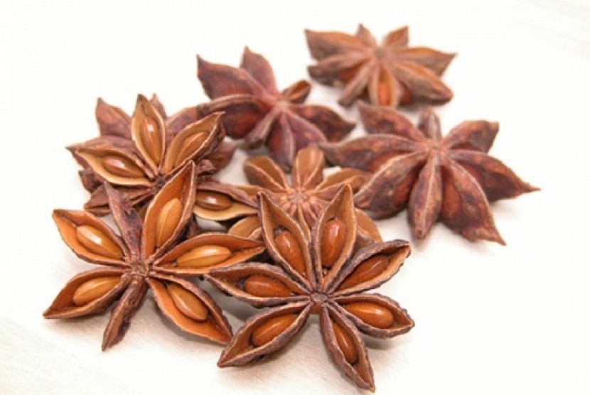 Anise star is one of ingredients used in traditional medicine. (illustration)