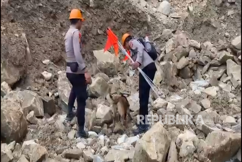 Anjing pelacak yang menjadi anggota Tim K-9 melakukan proses pengendusan untuk mendeteksi kemungkinan adanya korban yang masih tertimbun di Gunung Kuda Kabupaten Cirebon
