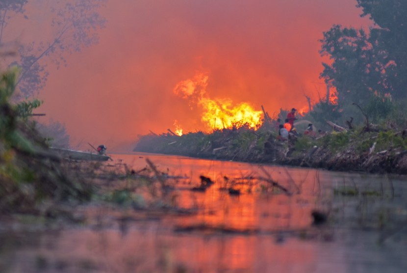 Api berkobar dari kebakaran lahan gambut di Desa Penarikan Kecamatan Langgam Kabupaten Pelalawan, Riau, Ahad (28/7/2019).