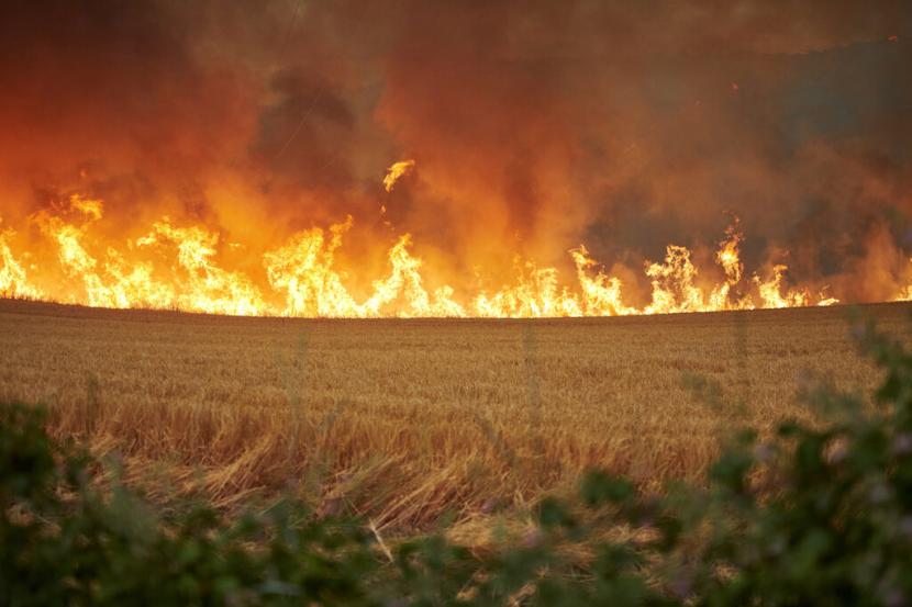 Sejumlah kebakaran besar menerjang hutan-hutan di Portugal tengah dan Spanyol barat di tengah gelombang panas. Ilustrasi.