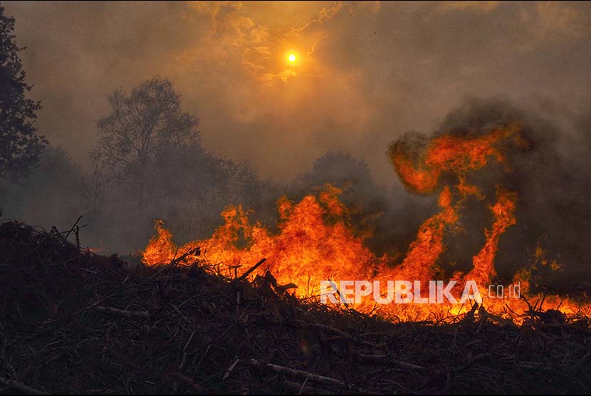 Kebakaran hutan di pegunungan selatan Spanyol memaksa warga pusat Kota Benahavis mengungsi. 