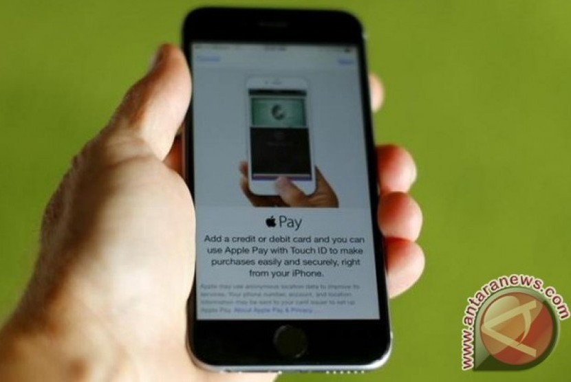 Apple Pay tak kunjung berhasil diluncurkan di India/ilustrasi.