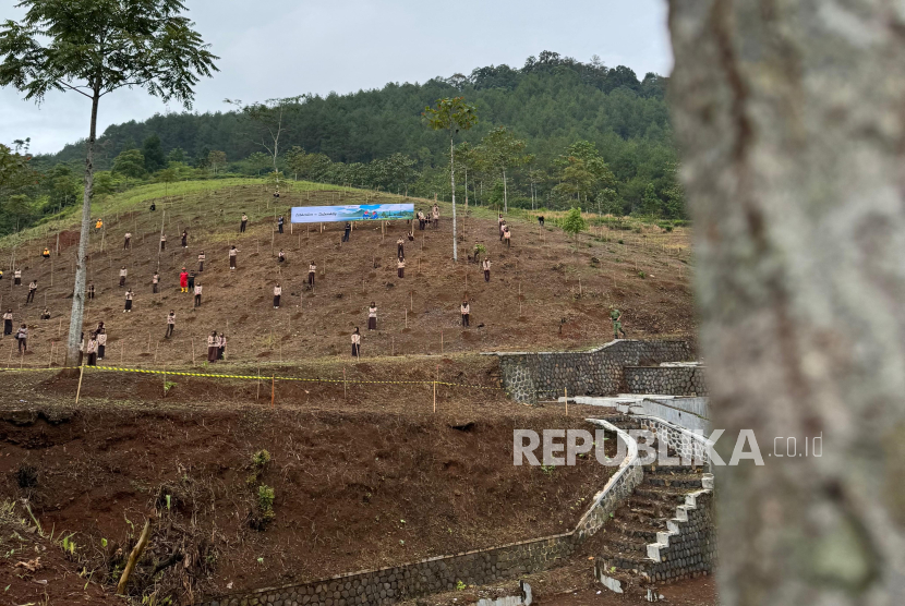 Area penanaman seluas sekitar 127,48 Ha sebagai rehabilitasi Daerah Aliran Sungai (DAS) Cibuni di Kecamatan Sukanagara, Kabupaten Cianjur, Provinsi Jawa Barat. (ilustrasi)
