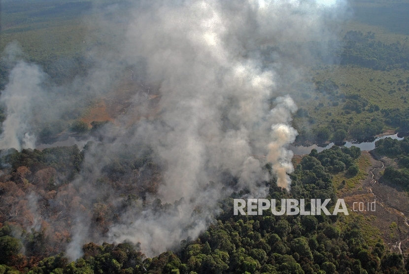 Areal hutan yang terbakar di kawasan Cagar Biosfer Giam Siak Kecil Kabupaten Bengkalis, Riau, Minggu (3/4). 