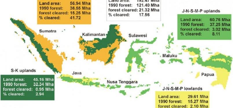 Around 4O percent of lowland forests in Sumatra and Indonesian Borneo cleared in 1990-2005.