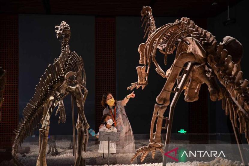 Arsip foto - Pengunjung mengamati fosil dinosaurus di Museum Nanjing di Provinsi Jiangsu, China timur, Selasa (17/5/2022). 