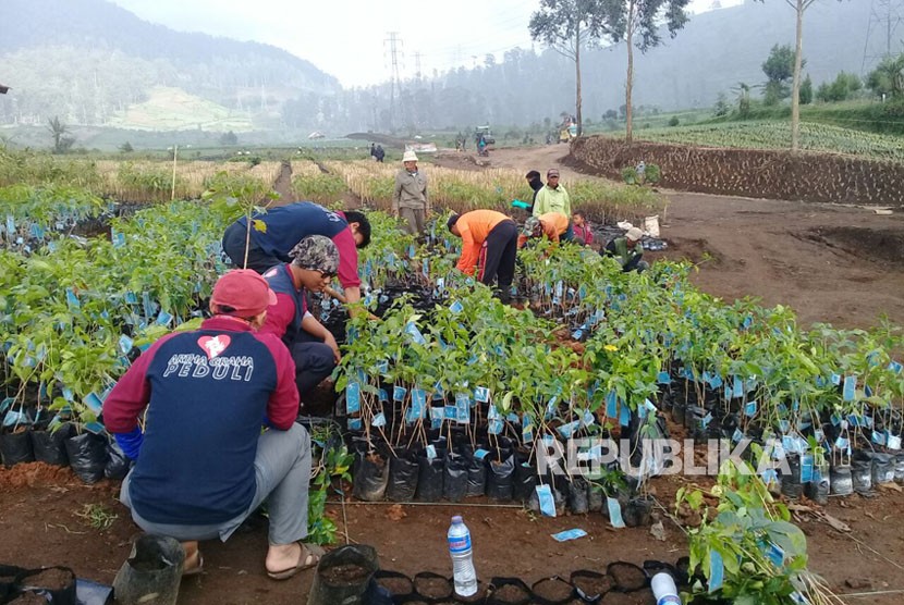 Artha Graha Peduli, Yayasan Budiasi dan petani binaan melakukan kegiatan penanaman bibit pohon di area nursery.