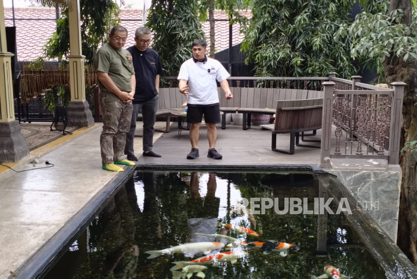 Artis Irfan Hakim menunjukkan kolam ikan koi yang dipeliharanya