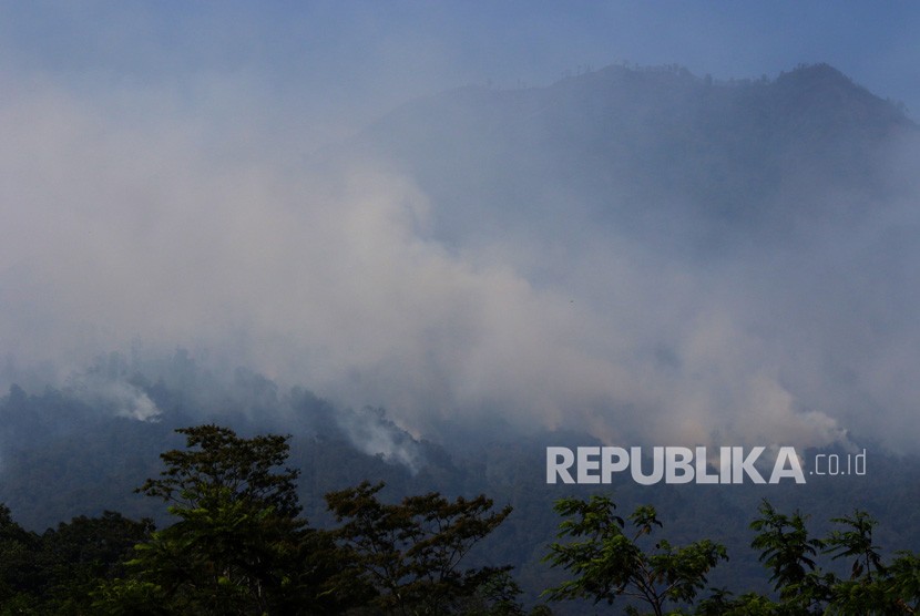 Asap dari kebakaran hutan Gunung Merapi Ungup-Ungup membubung ke udara di Banyuwangi, Jawa Timur, Kamis (24/10/2019). 