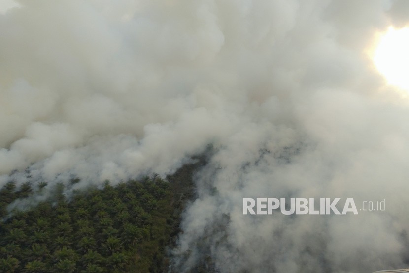 Ilustrasi kebakaran hutan dan lahan di Sumatra Selatan