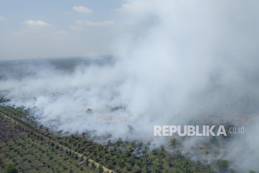 Kebakaran hutan dan lahan di Sumatra Selatan