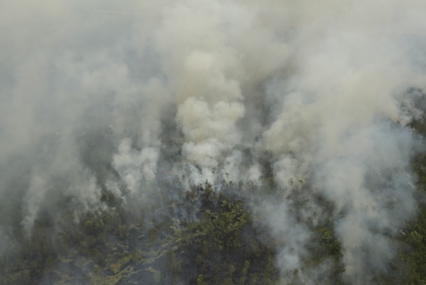 Asap membubung saat terjadi kebakaran hutan dan lahan di Desa Sungai Rambutan, Indralaya Utara, Ogan Ilir (OI), Sumatera Selatan, Kamis (14/9). 