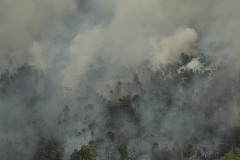 Asap membubung saat terjadi kebakaran hutan dan lahan di Desa Sungai Rambutan, Indralaya Utara, Ogan Ilir (OI), Sumatera Selatan, Kamis (14/9).