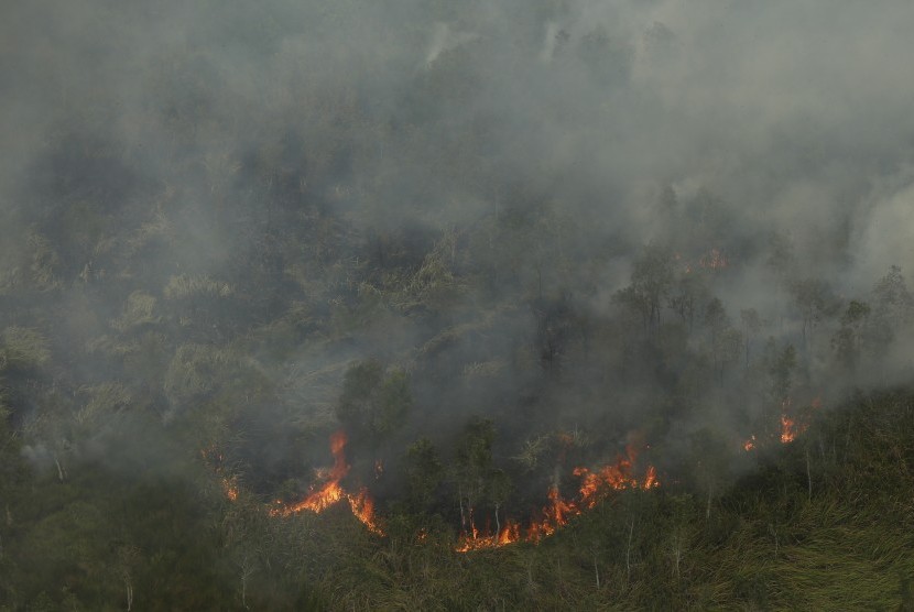 Asap membubung saat terjadi kebakaran hutan dan lahan di Desa Sungai Rambutan, Indralaya Utara, Ogan Ilir (OI), Sumatra Selatan, Kamis (14/9). 