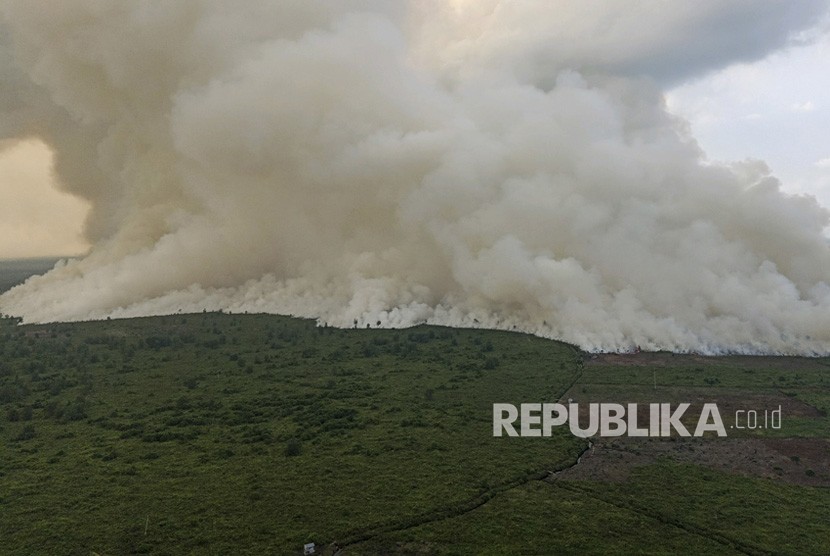 Asap membumbung tinggi dari lahan yang terbakar di Sumatra Selatan. (ilustrasi)