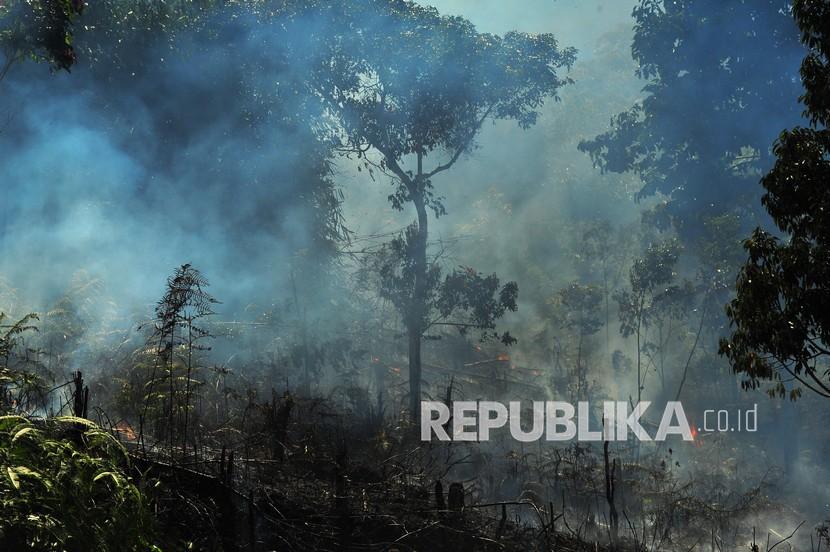 Asap mengepul akibat kebakaran lahan, di Kerinci, Jambi, Sabtu (8/8/2020). (Ilustrasi)