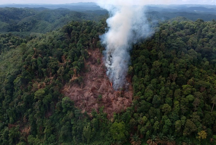 Asap mengepul akibat pembakaran lahan di Sialang, Dharmasraya, Sumatera Barat, Rabu (3/4/2019). 