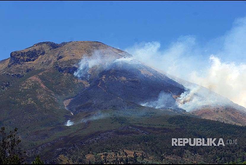 Asap mengepul dari kebakaran hutan gunung Sindoro difoto dari Desa Sigedang, Kejajar, Wonosobo, Tengah, Sabtu (8/9). Kebakaran sejak Jumat (7/9) siang tersebut terjadi di lahan hutan dan ilalang yang  berada pada petak 7B area Perhutani KPH Kedu Utara.