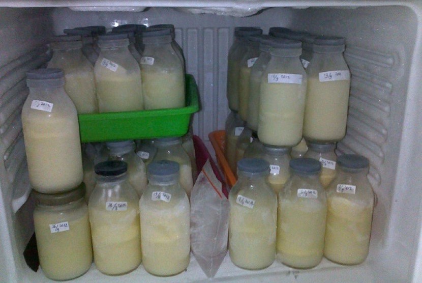 ASI perah dalam freezer (Ilustrasi). Air susu ibu yang telah disimpan di freezer harus dimasukkan ke dalam chiller sebelum diletakkan di suhu ruang.