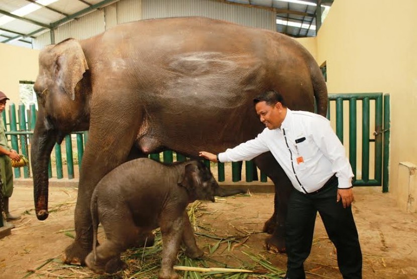 asistant manager Healt Safety Environment mewakili GM PT. Antam Persero berfoto dengan 'anak asuh'nya di Taman Safari